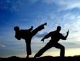 /album/fotogaleria/martial-arts-2-jpg/